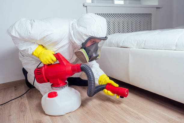 Best Pest Removal Services  in Youngstown, OH